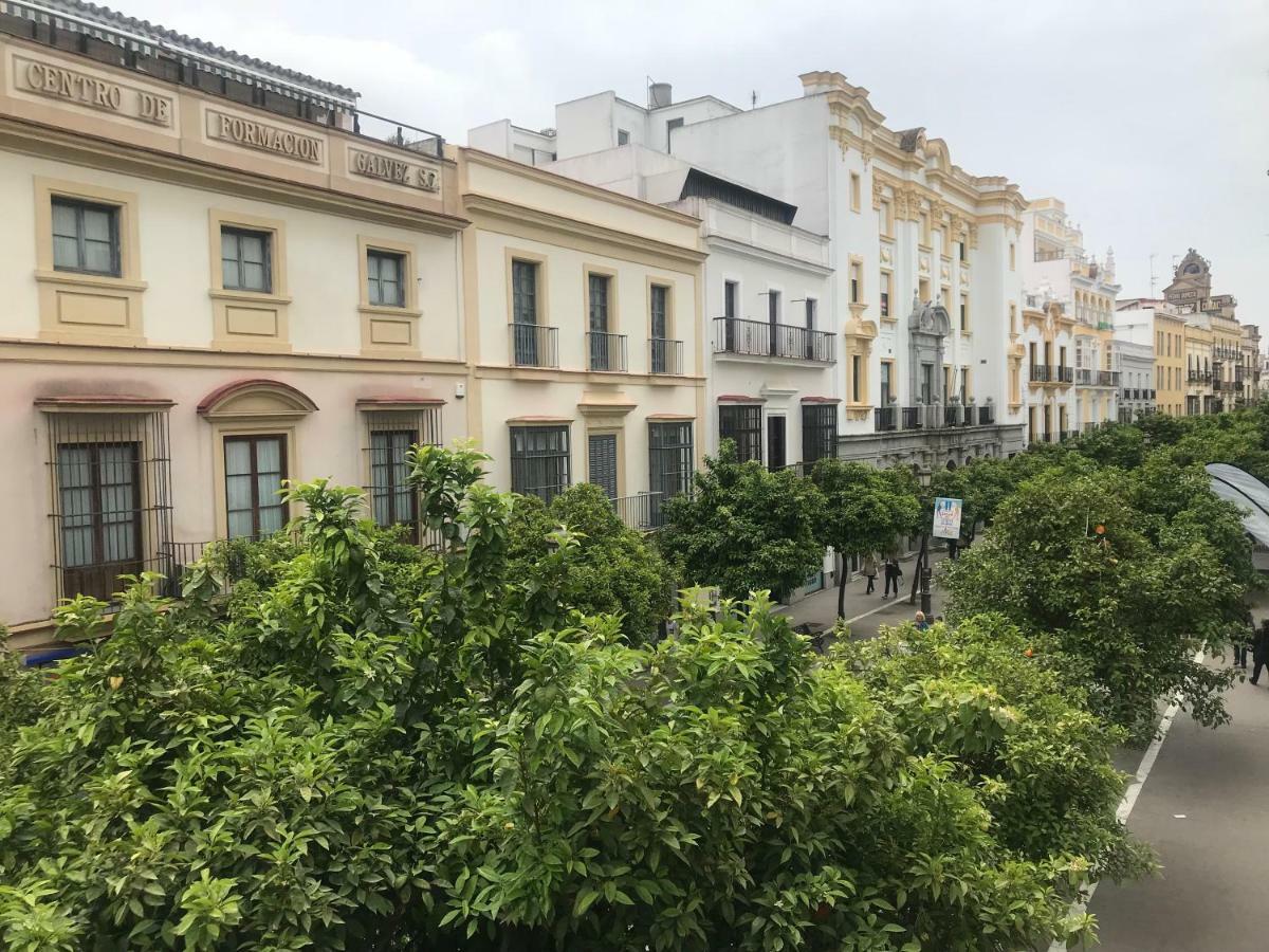 Apartamento Centro Jerez Lägenhet Jerez de la Frontera Exteriör bild